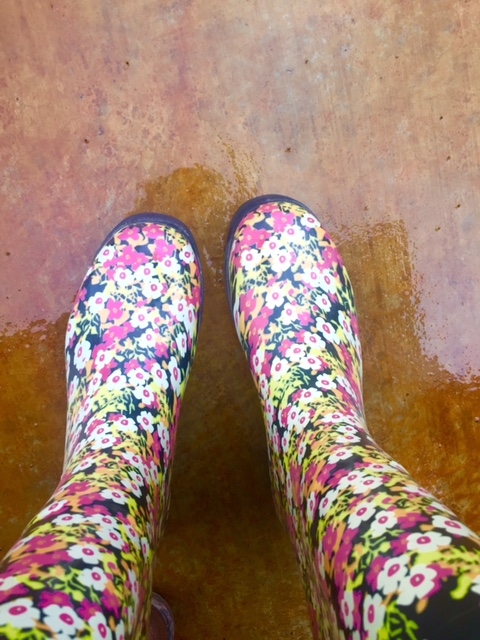 zzz rainboots